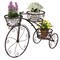 Metal Tricycle Plant Stand with 3 Baskets and Wheels for Indoor or Outdoor Use